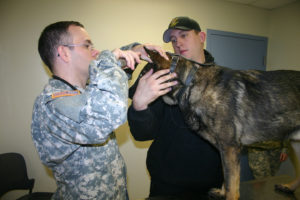 tierarzt hund Army Medicine: Veterinarian – CC BY 2.0